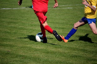 星空体育官网登录网址-皇马将面对巴黎圣日耳曼，欧冠16强正式抽签结果揭晓，欧冠小组赛皇马对巴黎圣日耳曼