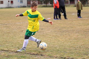 星空体育竞技-克罗地亚队战胜匈牙利，取得关键胜利